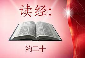 Scripture Reading