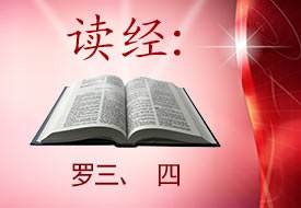 Scripture Reading