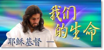 我们的生命