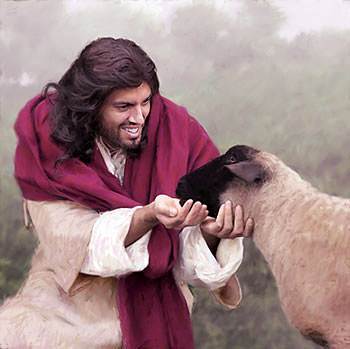 The Lord Jesus often referred to His believers as &ldquo;sheep.&ldquo;