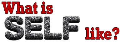 What is SELF like?