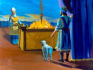 The person who wanted to be forgiven could bring a lamb to the tabernacle as a sacrifice for his sins.