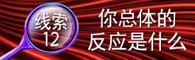 线索12：你总体的反应是什么