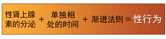 性肾上腺素的分泌+单独相处的时间+渐进法则=性行为
