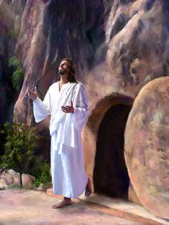 Jesus rose from the dead